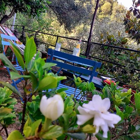 B&B I Glicini Vescina Luaran gambar
