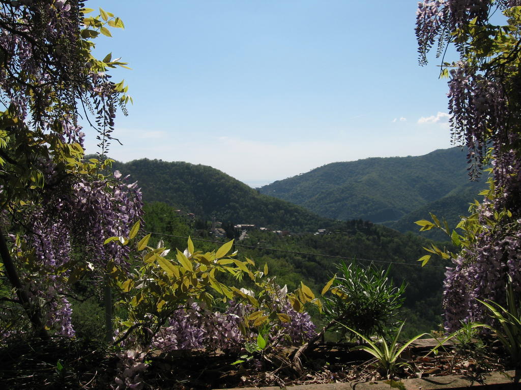 B&B I Glicini Vescina Luaran gambar