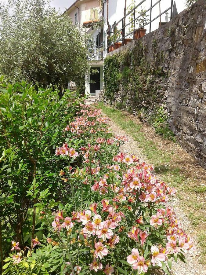 B&B I Glicini Vescina Luaran gambar