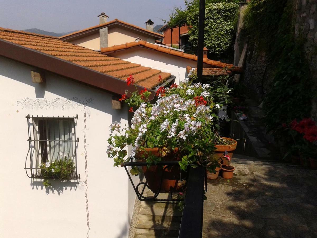 B&B I Glicini Vescina Luaran gambar