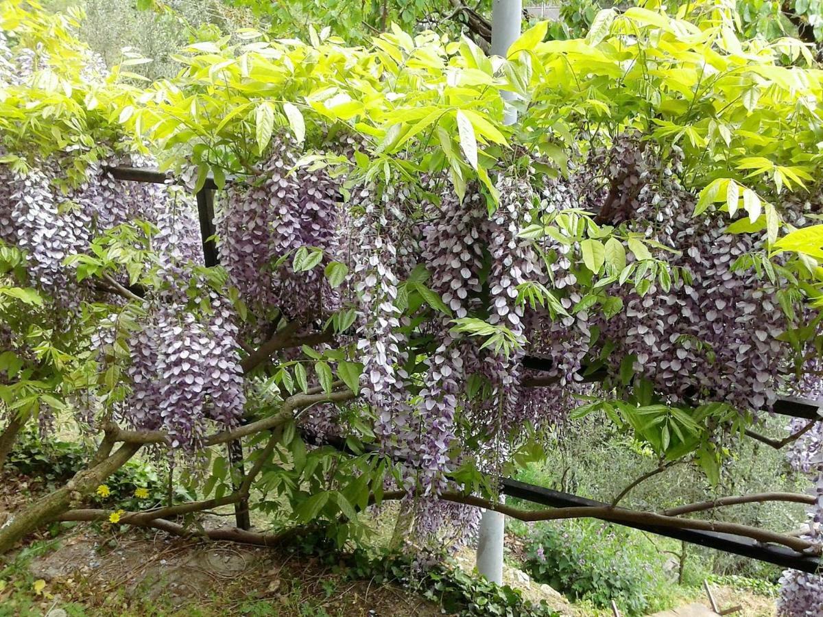 B&B I Glicini Vescina Luaran gambar