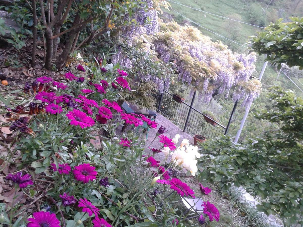 B&B I Glicini Vescina Luaran gambar