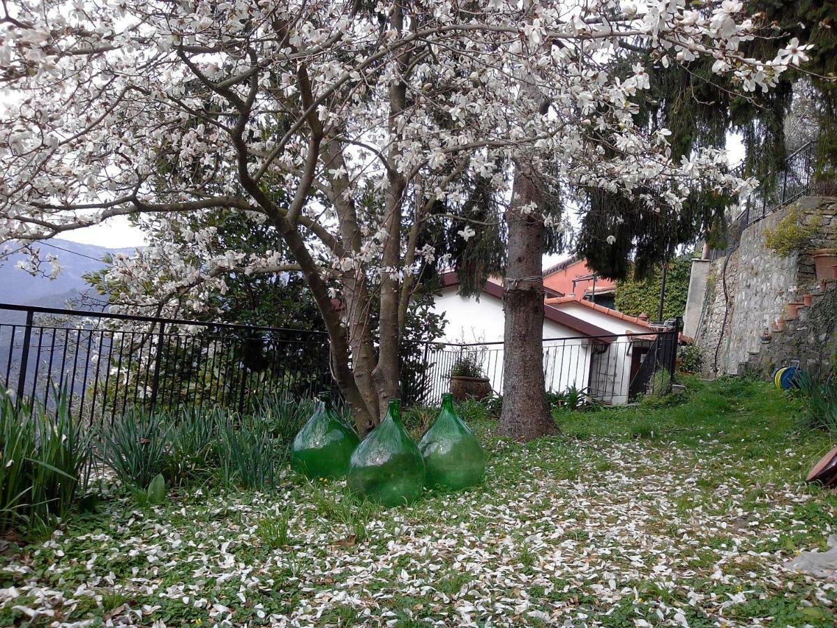 B&B I Glicini Vescina Luaran gambar