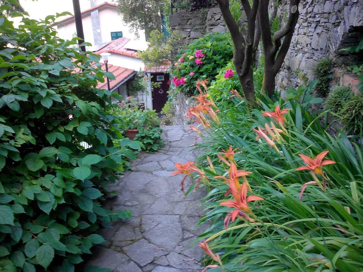 B&B I Glicini Vescina Luaran gambar