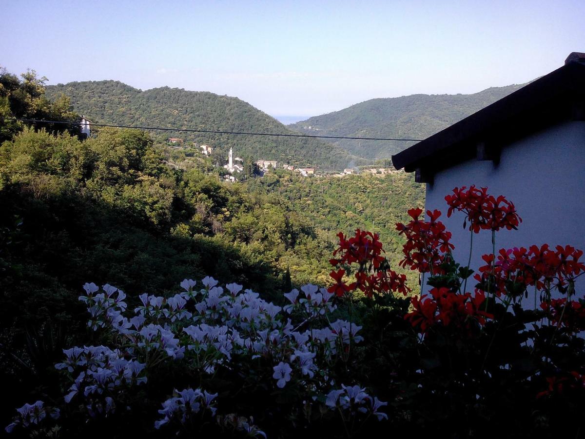 B&B I Glicini Vescina Luaran gambar